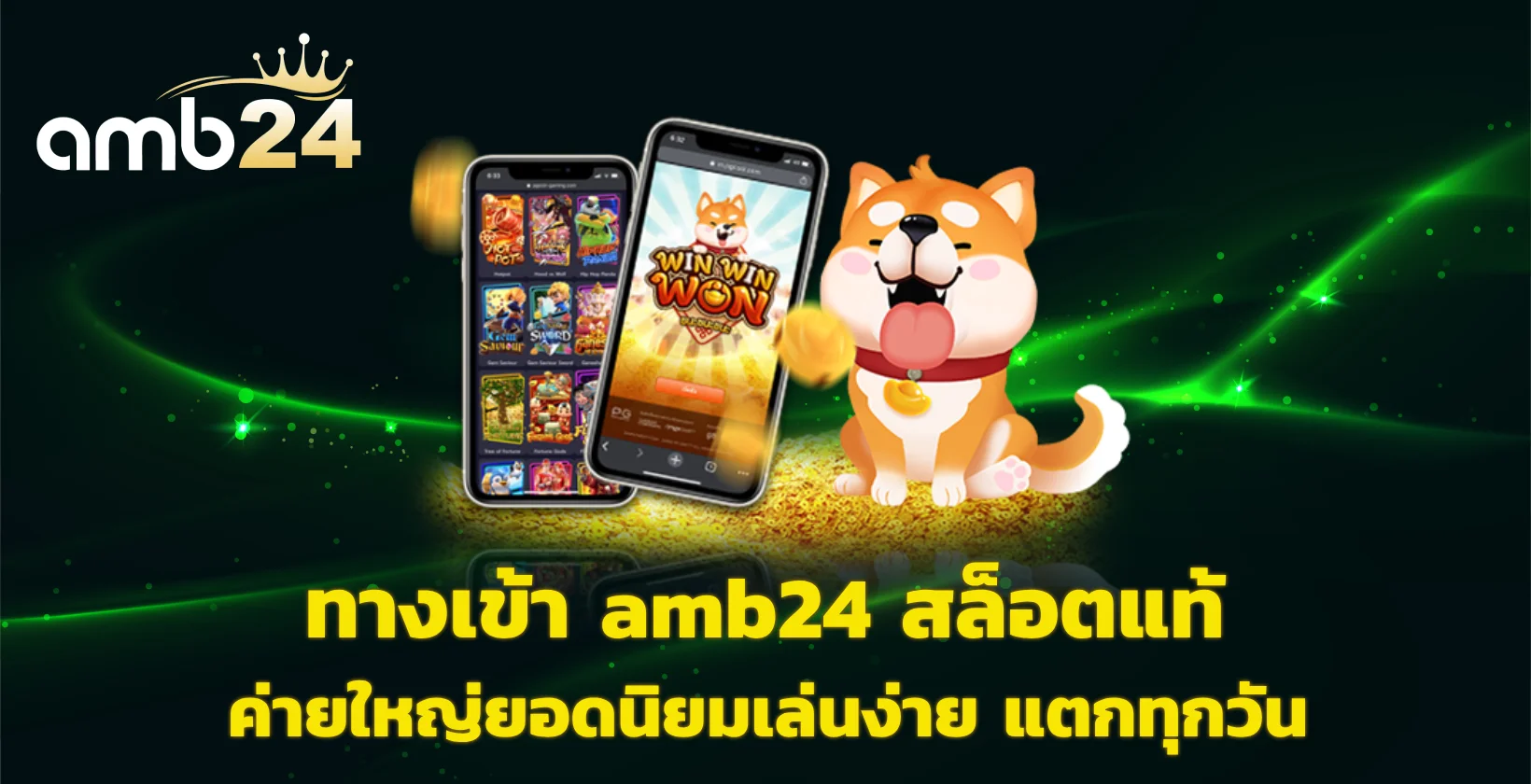 ทางเข้า amb24